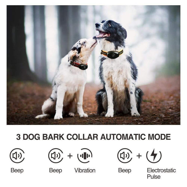 Planet Gates 200003746 2 In 1 Dog Training Collar & Anti Bark Collar 400M Rechargeable Dog Electric Collar Waterproof Remote Dog Pet Product