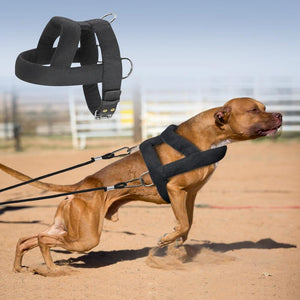 Planet Gates 200003746 Dog Weight Pulling Harness Soft Padded Dogs Harnesses Pitbull K9 Large Dogs Training Harness Pet Agility Products