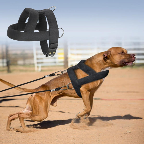 Planet Gates 200003746 Dog Weight Pulling Harness Soft Padded Dogs Harnesses Pitbull K9 Large Dogs Training Harness Pet Agility Products