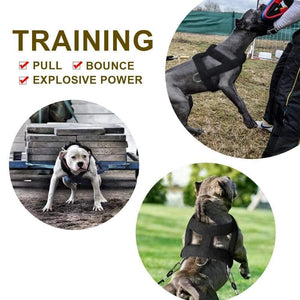 Planet Gates 200003746 Dog Weight Pulling Harness Soft Padded Dogs Harnesses Pitbull K9 Large Dogs Training Harness Pet Agility Products