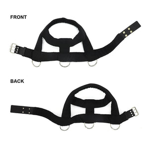 Planet Gates 200003746 Dog Weight Pulling Harness Soft Padded Dogs Harnesses Pitbull K9 Large Dogs Training Harness Pet Agility Products
