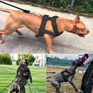Planet Gates 200003746 Dog Weight Pulling Harness Soft Padded Dogs Harnesses Pitbull K9 Large Dogs Training Harness Pet Agility Products