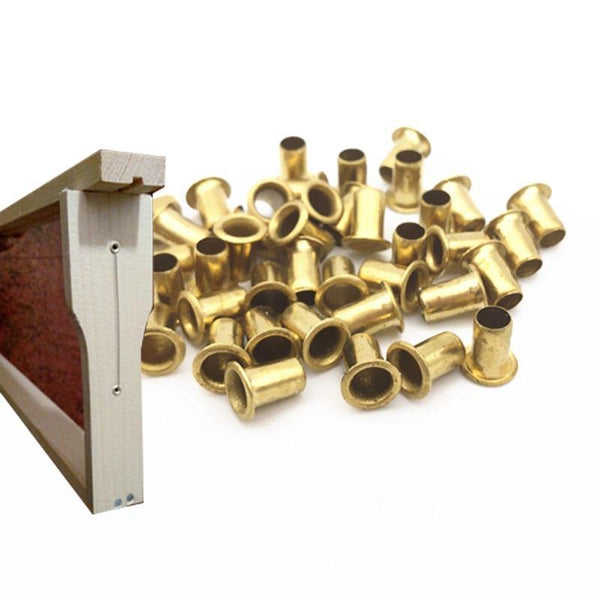 Planet Gates 200284146 1100 Pcs Italian Bee Beehive Nest Box Threading Hole Nest Box Nest Foundation Copper Eye Beekeeping Tools (Gold)