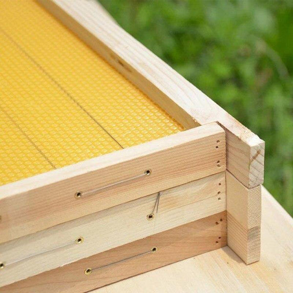 Planet Gates 200284146 1100 Pcs Italian Bee Beehive Nest Box Threading Hole Nest Box Nest Foundation Copper Eye Beekeeping Tools (Gold)