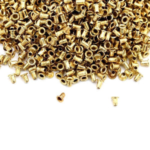 Planet Gates 200284146 1100pcs Bee Beehive Threading Hole Nest Box Apiculture Copper Eyes A Tool Of Beekeeping Protect Nest Box Nest Foudation (Gold Bee Hive)