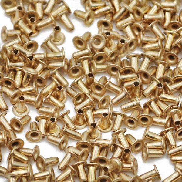 Planet Gates 200284146 2200-12500Pcs Bee Hive Copper Eye Bees Nest Box Foundation Plating Copper Eyes Beehive Threading Hole Beekeeper Tools Equipments