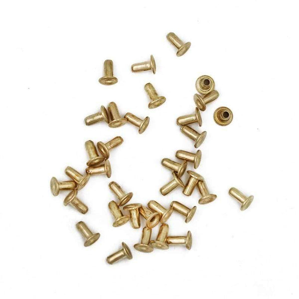 Planet Gates 200284146 2200-12500Pcs Bee Hive Copper Eye Bees Nest Box Foundation Plating Copper Eyes Beehive Threading Hole Beekeeper Tools Equipments