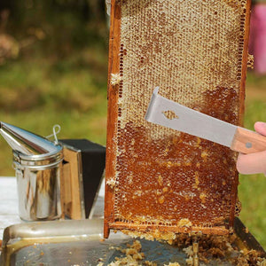 Planet Gates 200284146 Sennan Bee Tools Wholesale Multifunctional Starting Scraper Bee Knife Beekeeping Wooden Stainless Steel Cut Honey Knife