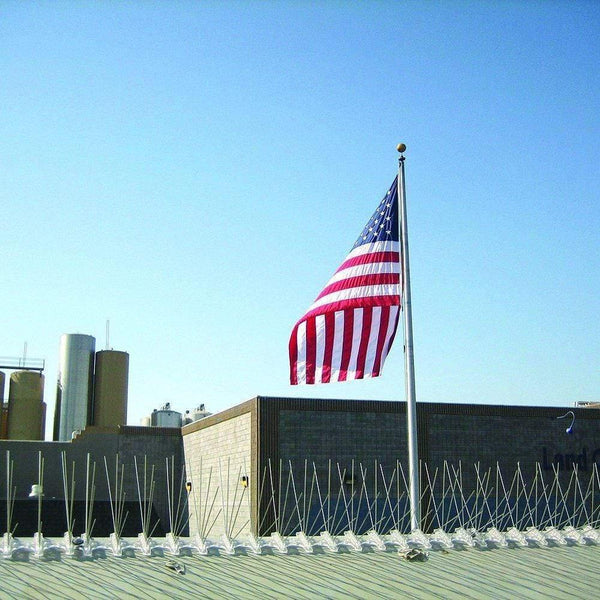 Planet Gates 200327217 Pins Pre-Assembled Stainless Steel Bird Spikes, Bird Deterrent Fence Spikes, Repels Pigeons,Seagulls Anti Bird Nest And Landing