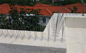 Planet Gates 200327217 Pins Pre-Assembled Stainless Steel Bird Spikes, Bird Deterrent Fence Spikes, Repels Pigeons,Seagulls Anti Bird Nest And Landing