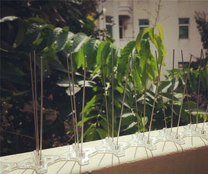 Planet Gates 200327217 Pins Pre-Assembled Stainless Steel Bird Spikes, Bird Deterrent Fence Spikes, Repels Pigeons,Seagulls Anti Bird Nest And Landing