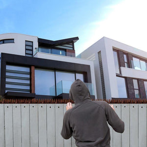 Planet Gates 200327217 Plastic Bird And Pigeon Spikes Anti Bird Anti Pigeon Spike For Get Rid Of Pigeons And Scare Birds Pest Control