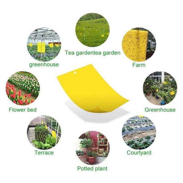 Planet Gates 200327218 10/20/30pcs Yellow Greenhouse Sticky Traps Catch Multiple Flying Insect Pests Pest Control Products