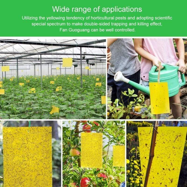 Planet Gates 200327218 10/20/30pcs Yellow Greenhouse Sticky Traps Catch Multiple Flying Insect Pests Pest Control Products