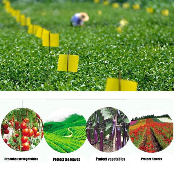 Planet Gates 200327218 10/20/30pcs Yellow Greenhouse Sticky Traps Catch Multiple Flying Insect Pests Pest Control Products
