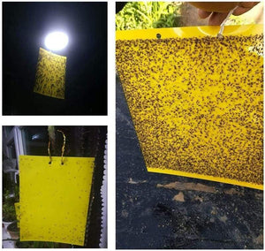 Planet Gates 200327218 100pcs Strong Fly Traps Bugs Sticky Board Dual-Sided Catching Aphid Insects Pest Control Whitefly Thrip Leafminer Glue Sticker