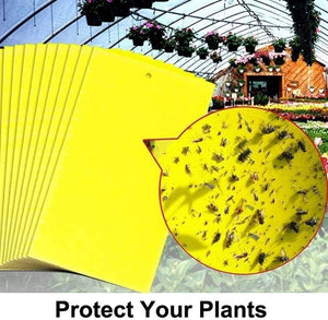 Planet Gates 200327218 100pcs Strong Fly Traps Bugs Sticky Board Dual-Sided Catching Aphid Insects Pest Control Whitefly Thrip Leafminer Glue Sticker