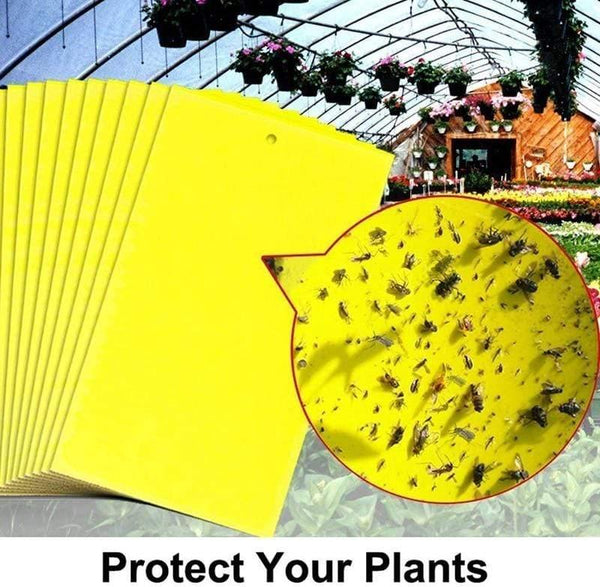 Planet Gates 200327218 100pcs Strong Fly Traps Bugs Sticky Board Dual-Sided Catching Aphid Insects Pest Control Whitefly Thrip Leafminer Glue Sticker