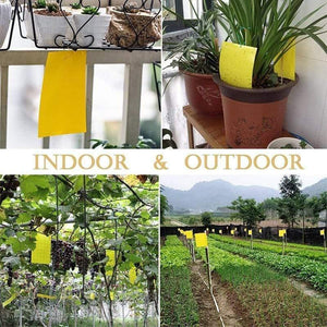 Planet Gates 200327218 100pcs Strong Fly Traps Bugs Sticky Board Dual-Sided Catching Aphid Insects Pest Control Whitefly Thrip Leafminer Glue Sticker
