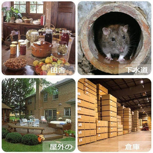 Planet Gates 200327218 6Pcs Reusable Rat Catching Mice Mouse Traps Mousetrap Bait Snap Spring Rodent Catcher