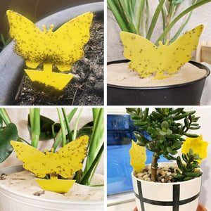 Planet Gates 200327218 Yellow Butterfly Shape Double-sided Sticky Board Plant Flowers And Vegetables Mosquito Flies Trap Board Insect Sticker Control