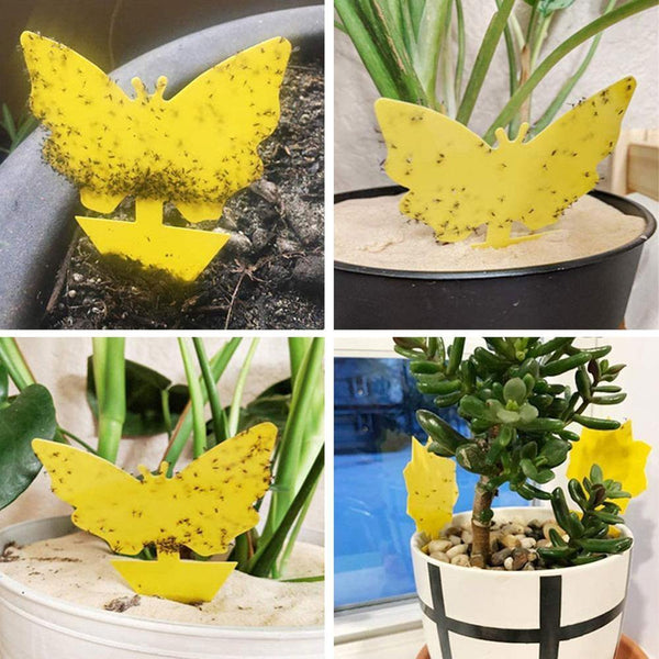 Planet Gates 200327218 Yellow Butterfly Shape Double-sided Sticky Board Plant Flowers And Vegetables Mosquito Flies Trap Board Insect Sticker Control