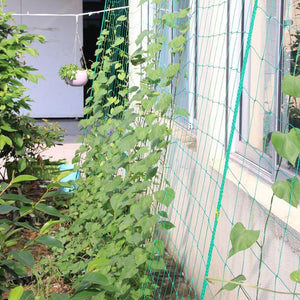 Planet Gates 200367154 1pcs Hi-quality Nylon Garden Netting Loofah Morning Glory  Flowers Vine Plants Climbing Net Cucumber Vine Grow Holder Brackets
