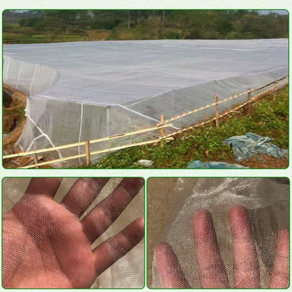 Planet Gates 200367154 Anti Bird Catcher Netting Pond Net Fishing Net Traps Crops Fruit Tree Vegetables Flower Garden Mesh Protect Pest Control