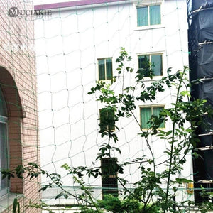 Planet Gates 200367154 Garden Green Nylon Trellis Netting Mesh 10x10cm Support Climbing Bean Plant Nets Grow Fence Climbing Net Thickened Line