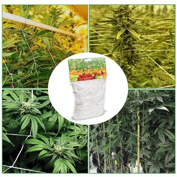 Planet Gates 200367154 Plant Climbing Net Mesh Loofah Netting For Morning Glory Vine Flowers Garden Plants Climbing Net Cucumber Vine Grow Holder