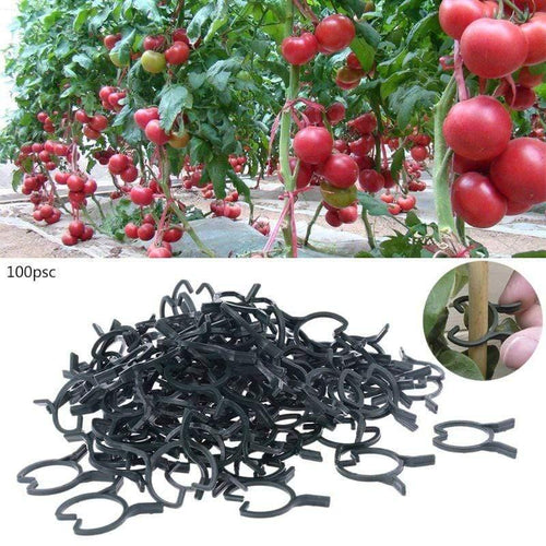 Planet Gates 200367155 100Pcs Plant Garden Clips Vegetable Plant  Vine Support Clips For Holding Plant Stems