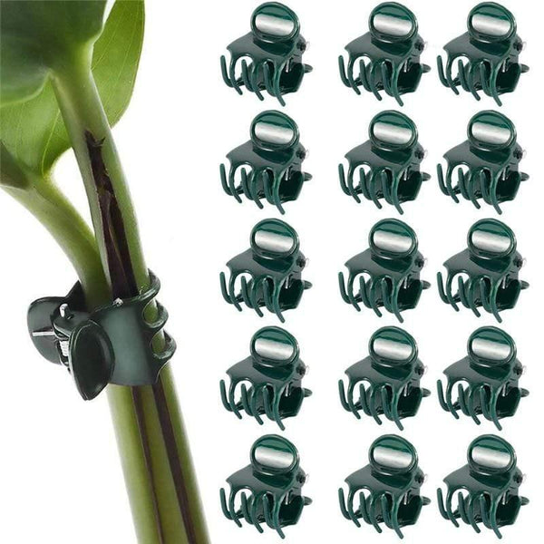Planet Gates 200367155 100PCS Plastic Plant Support Clips Orchid Stem Clip For Vine Support Vegetables Flower Tied Bundle Branch Clamping Garden Tool