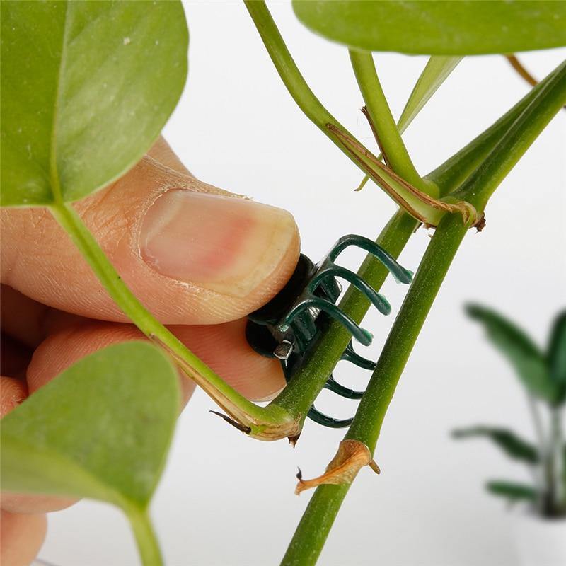 Planet Gates 200367155 100PCS Plastic Plant Support Clips Orchid Stem Clip For Vine Support Vegetables Flower Tied Bundle Branch Clamping Garden Tool