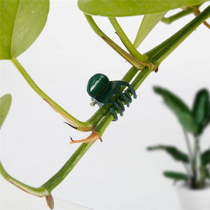 Planet Gates 200367155 100PCS Plastic Plant Support Clips Orchid Stem Clip For Vine Support Vegetables Flower Tied Bundle Branch Clamping Garden Tool