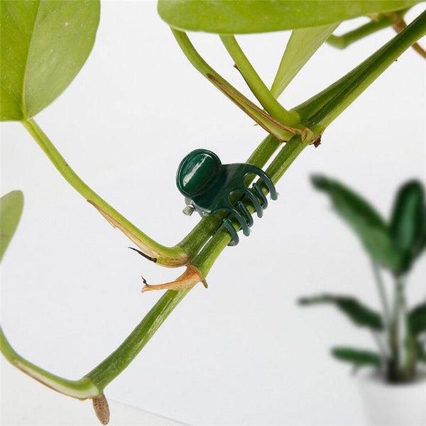 Planet Gates 200367155 100PCS Plastic Plant Support Clips Orchid Stem Clip For Vine Support Vegetables Flower Tied Bundle Branch Clamping Garden Tool