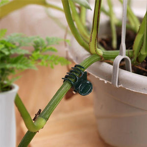 Planet Gates 200367155 100PCS Plastic Plant Support Clips Orchid Stem Clip For Vine Support Vegetables Flower Tied Bundle Branch Clamping Garden Tool