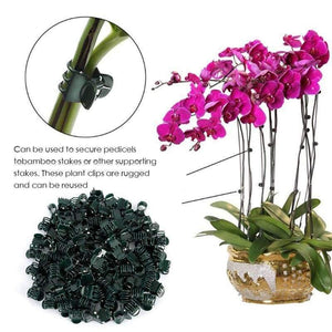 Planet Gates 200367155 100PCS Plastic Plant Support Clips Orchid Stem Clip For Vine Support Vegetables Flower Tied Bundle Branch Clamping Garden Tool