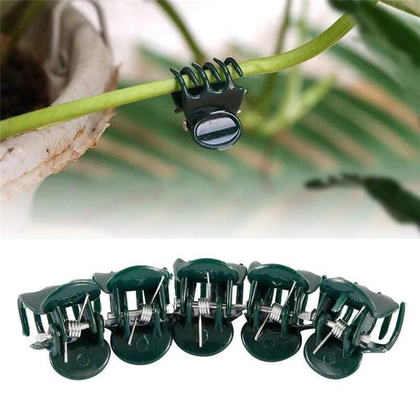Planet Gates 200367155 100PCS Plastic Plant Support Clips Orchid Stem Clip For Vine Support Vegetables Flower Tied Bundle Branch Clamping Garden Tool