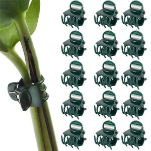Planet Gates 200367155 100PCS Plastic Plant Support Clips Orchid Stem Clip For Vine Support Vegetables Flower Tied Bundle Branch Clamping Garden Tool