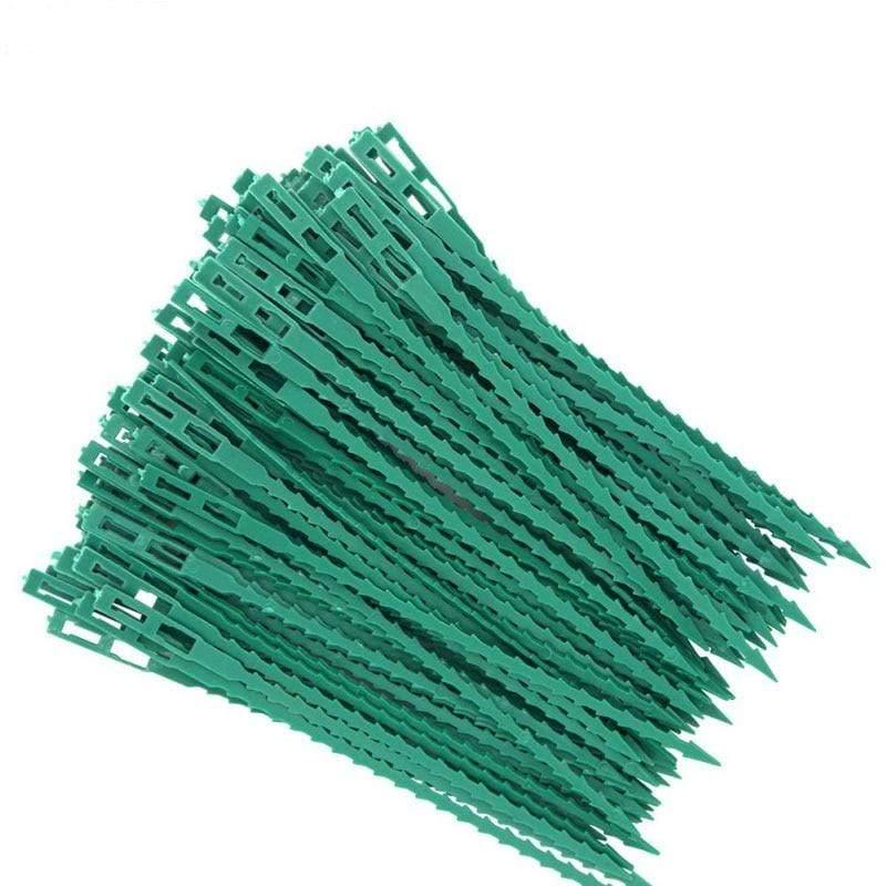 Planet Gates 200367155 30/50/100Pcs Reusable Garden Cable Ties Plant Support Shrubs Fastener Tree Locking Nylon Adjustable Plastic Cable Ties Tools