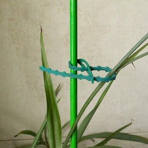 Planet Gates 200367155 30/50/100Pcs Reusable Garden Cable Ties Plant Support Shrubs Fastener Tree Locking Nylon Adjustable Plastic Cable Ties Tools
