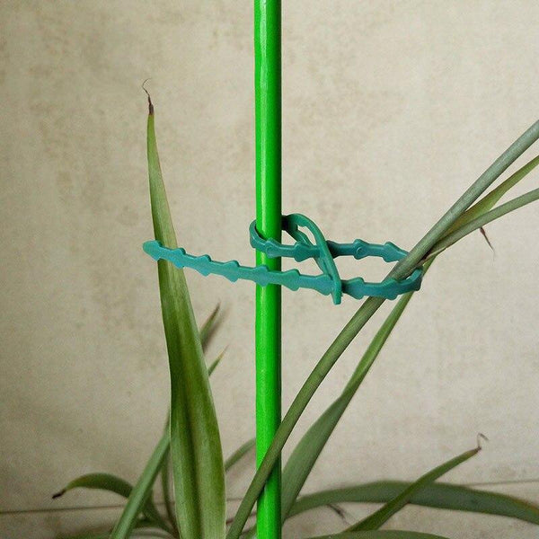 Planet Gates 200367155 30/50/100Pcs Reusable Garden Cable Ties Plant Support Shrubs Fastener Tree Locking Nylon Adjustable Plastic Cable Ties Tools