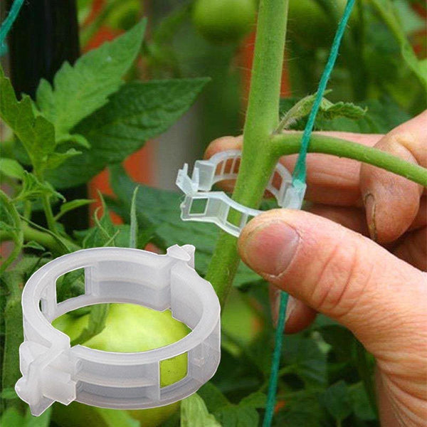Planet Gates 200367155 50/100/200 Pcs Plastic Plant Support Clips For Tomato Hanging Trellis Vine Connects Plants Greenhouse Vegetables Garden Ornament