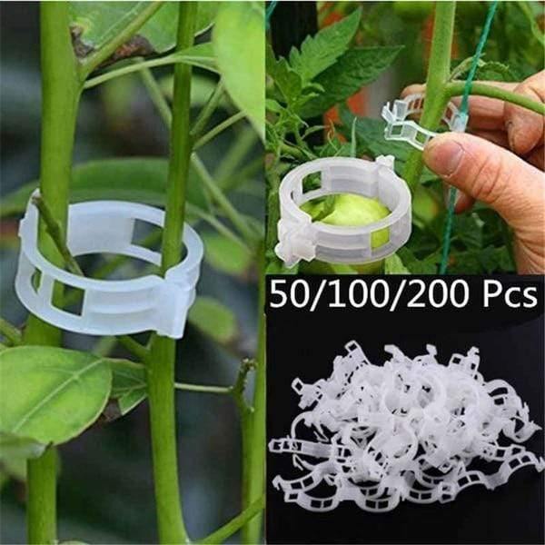 Planet Gates 200367155 50/100/200 Pcs Plastic Plant Support Clips For Tomato Hanging Trellis Vine Connects Plants Greenhouse Vegetables Garden Ornament