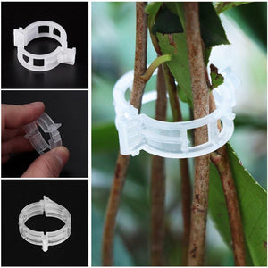 Planet Gates 200367155 50/100/200 Pcs Plastic Plant Support Clips For Tomato Hanging Trellis Vine Connects Plants Greenhouse Vegetables Garden Ornament