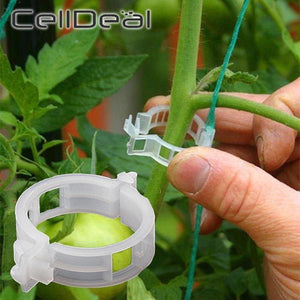 Planet Gates 200367155 50/100pcs Plastic Plant Clips Supports Connects Reusable Protection Grafting Fixing Tool Gardening Supplies For Vegetable Tomato
