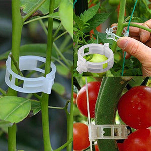 Planet Gates 200367155 50/100pcs Plastic Plant Clips Supports Connects Reusable Protection Grafting Fixing Tool Gardening Supplies For Vegetable Tomato