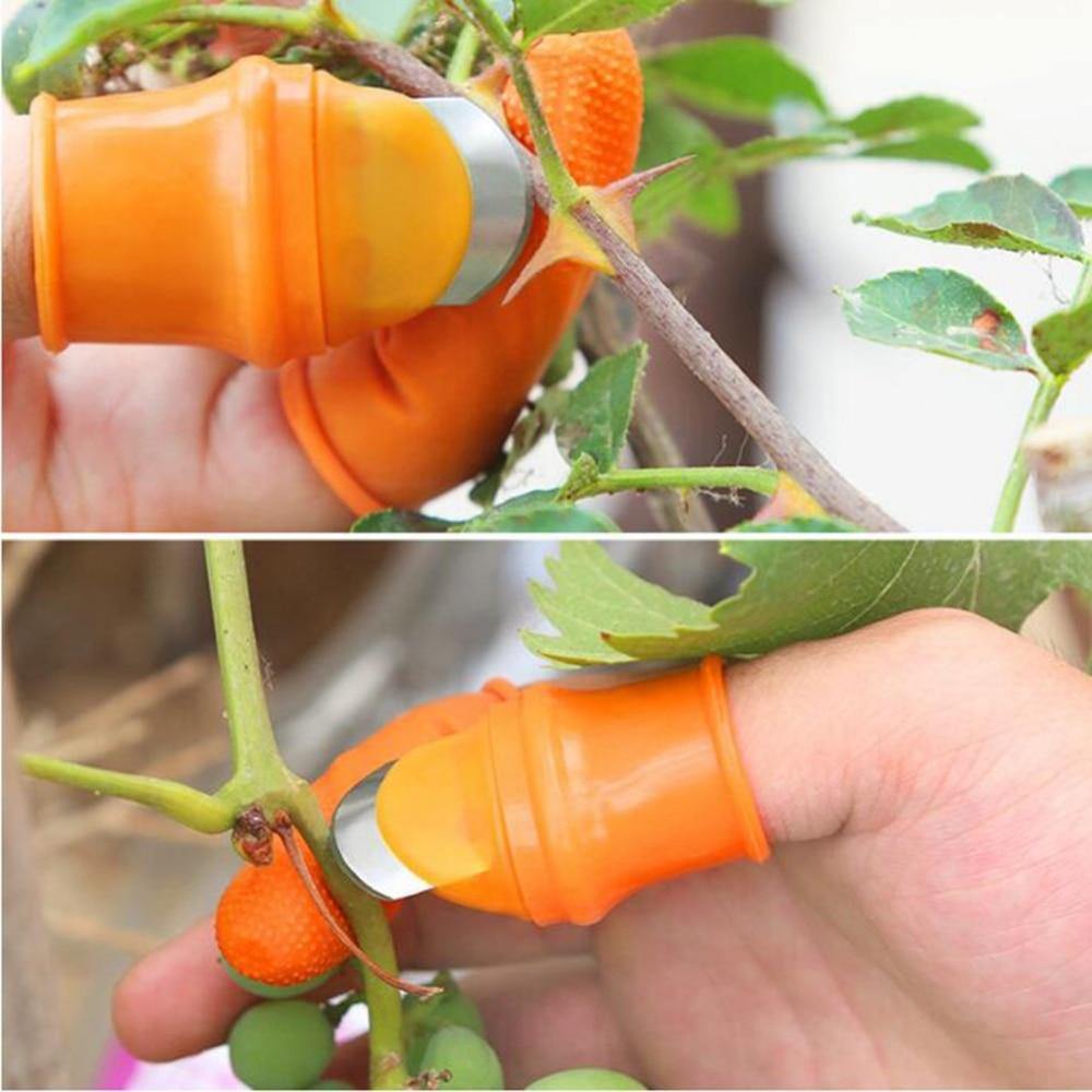 Planet Gates 200367155 Farm Vegetable Fruit Picker Pickle Pepper Pickle Tip Picker Iron Nail Pick Grape Picker For Garden Tool