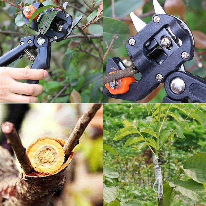 Planet Gates 200367155 Grafting Pruner Garden Grafting Tool Professional Branch Cutter Secateur Pruning Plant Shears Boxes Fruit Tree Grafting Scissor