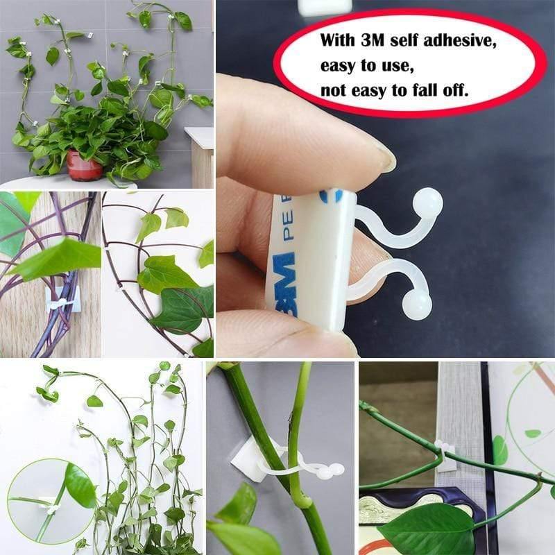 Planet Gates 200367155 Plant Climbing Wall Self-Adhesive Fastener Tied Fixture Vine Buckle Hook Garden Plant Wall Climbing Vine Clips Fixed Buckle Hook